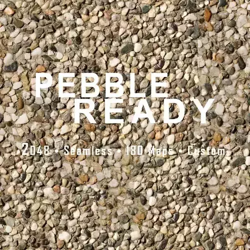 2K Pebble Ready 
