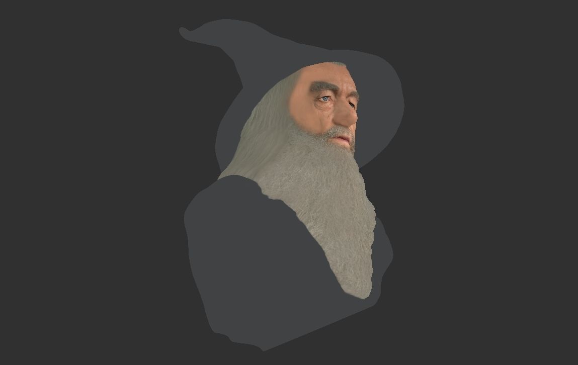 Gandalf Lord of the Rings bust ready for full color 3D printing 3D print model_19