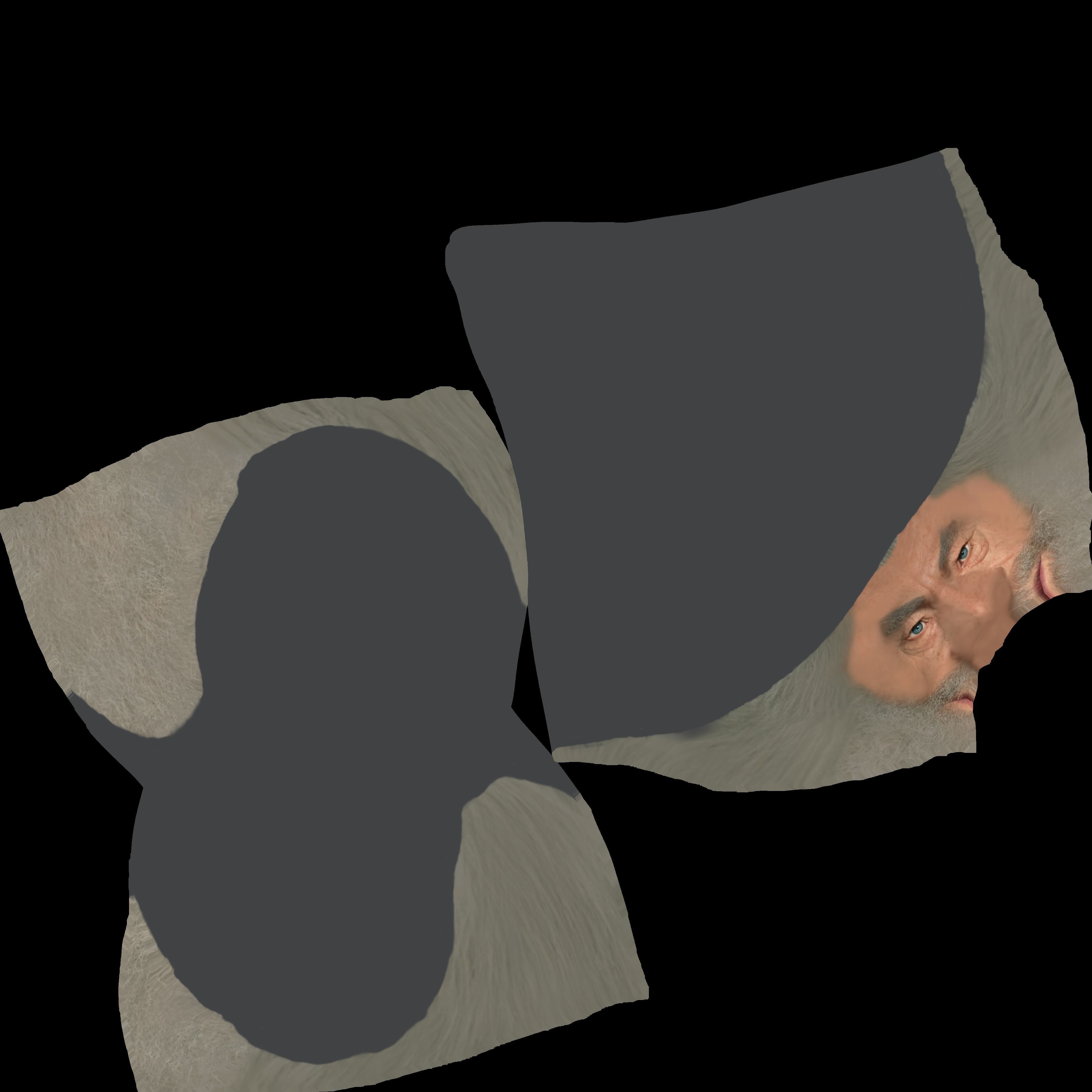 Gandalf Lord of the Rings bust ready for full color 3D printing 3D print model_41