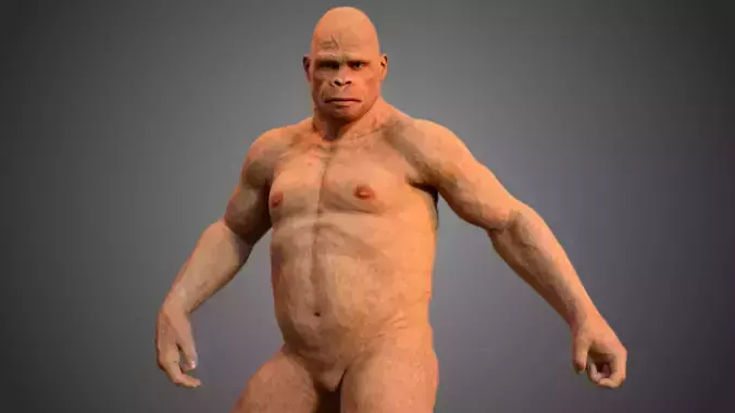 Australopithecus neanderthal 3D model