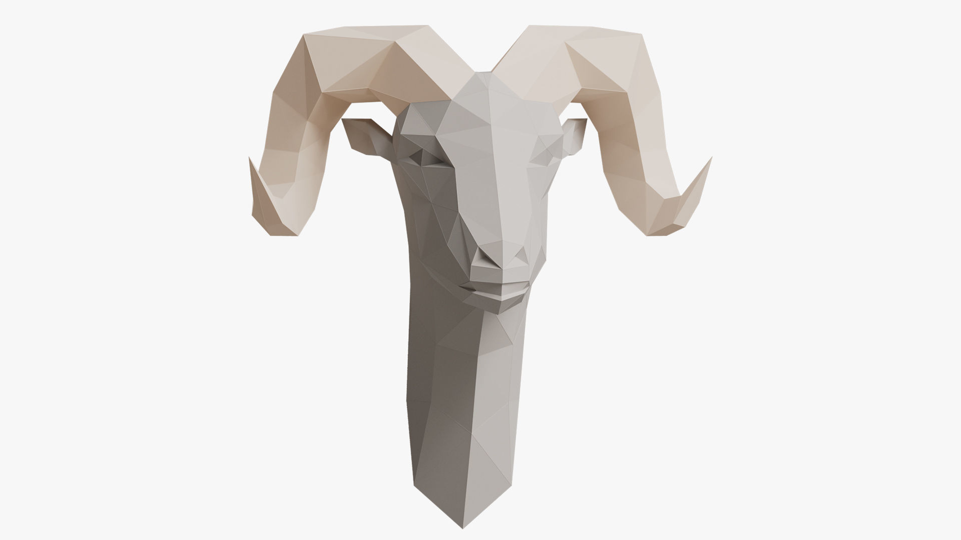 REM PAPER HEAD 3D model_1