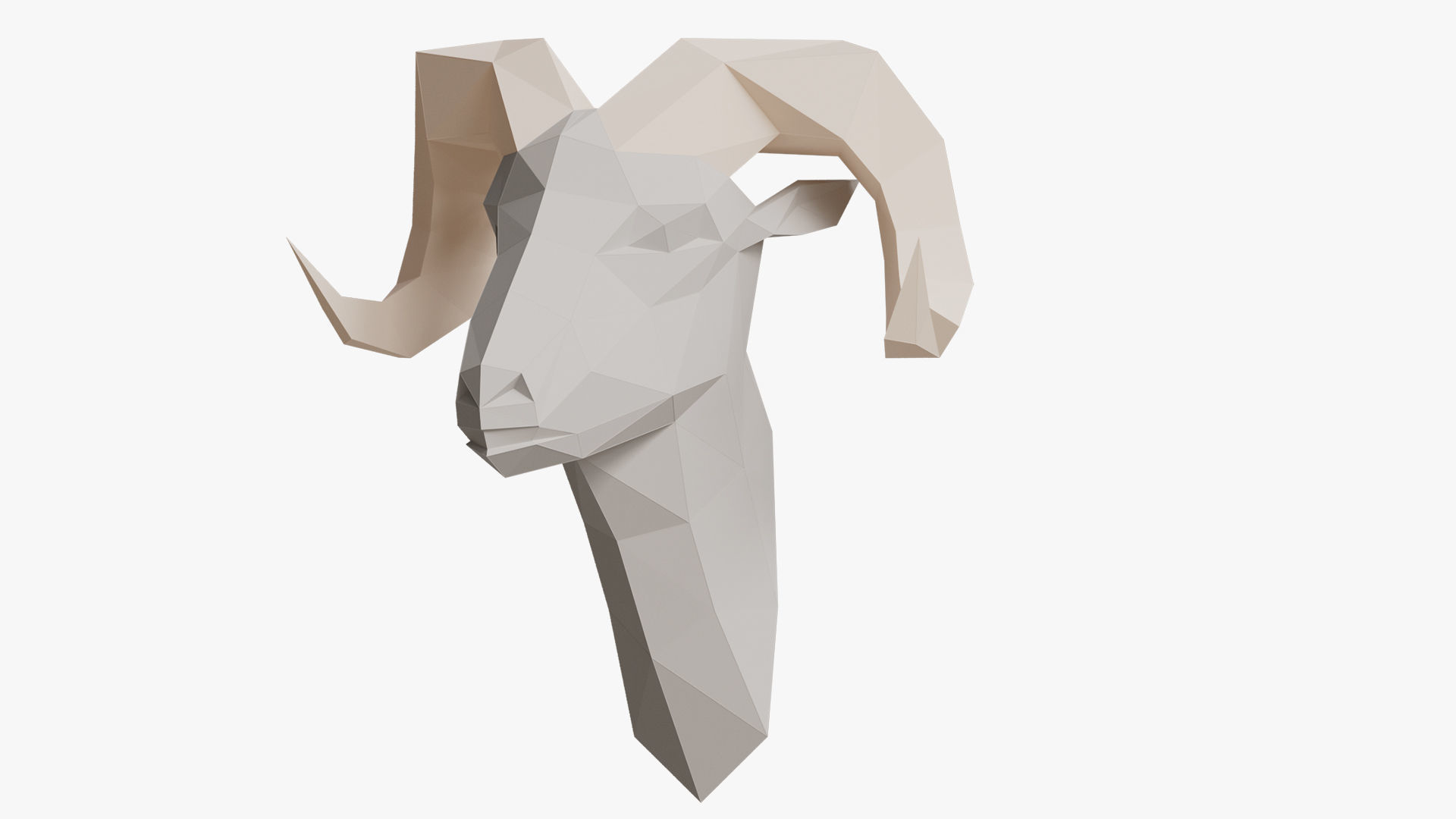 REM PAPER HEAD 3D model_2