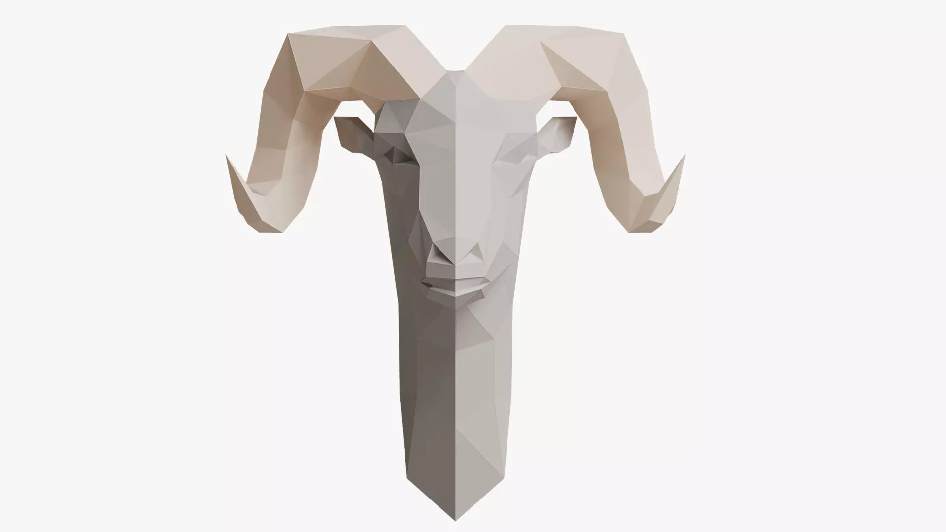 REM PAPER HEAD 3D model_0