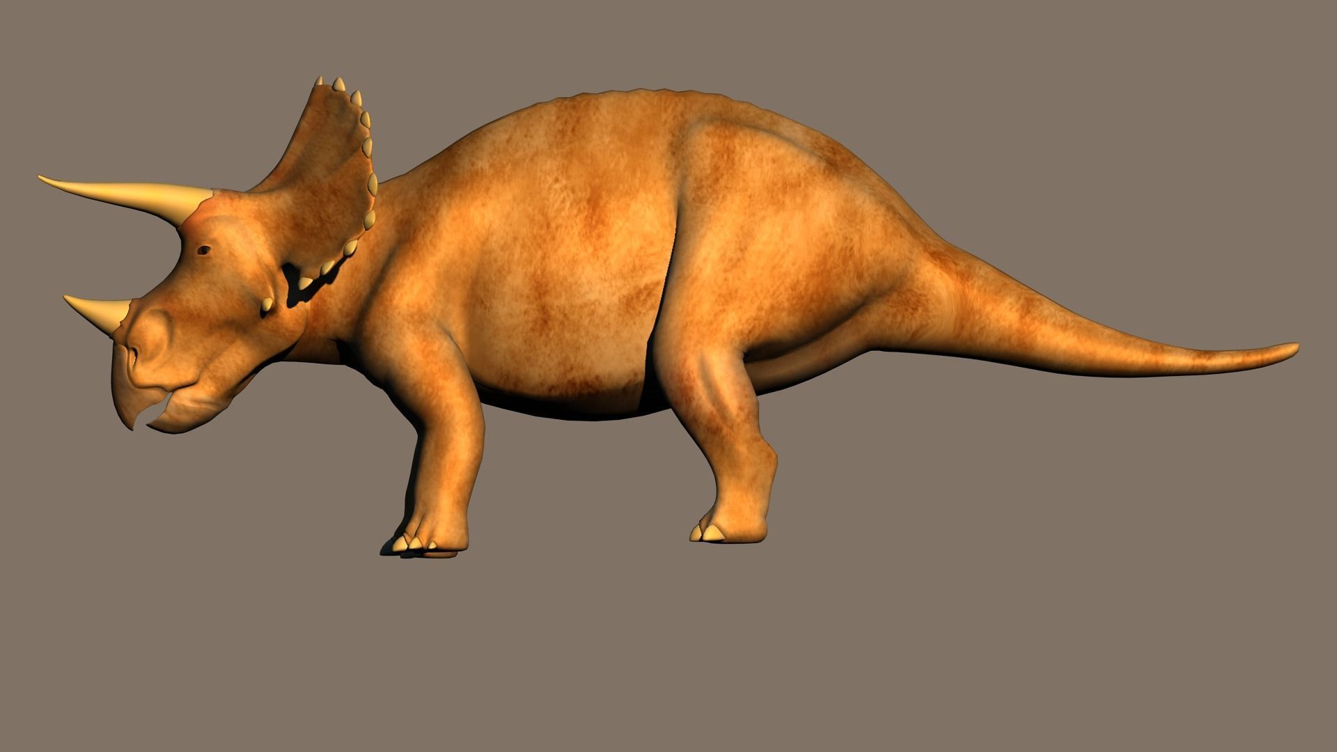 Triceratops dinosaur 3D model_6