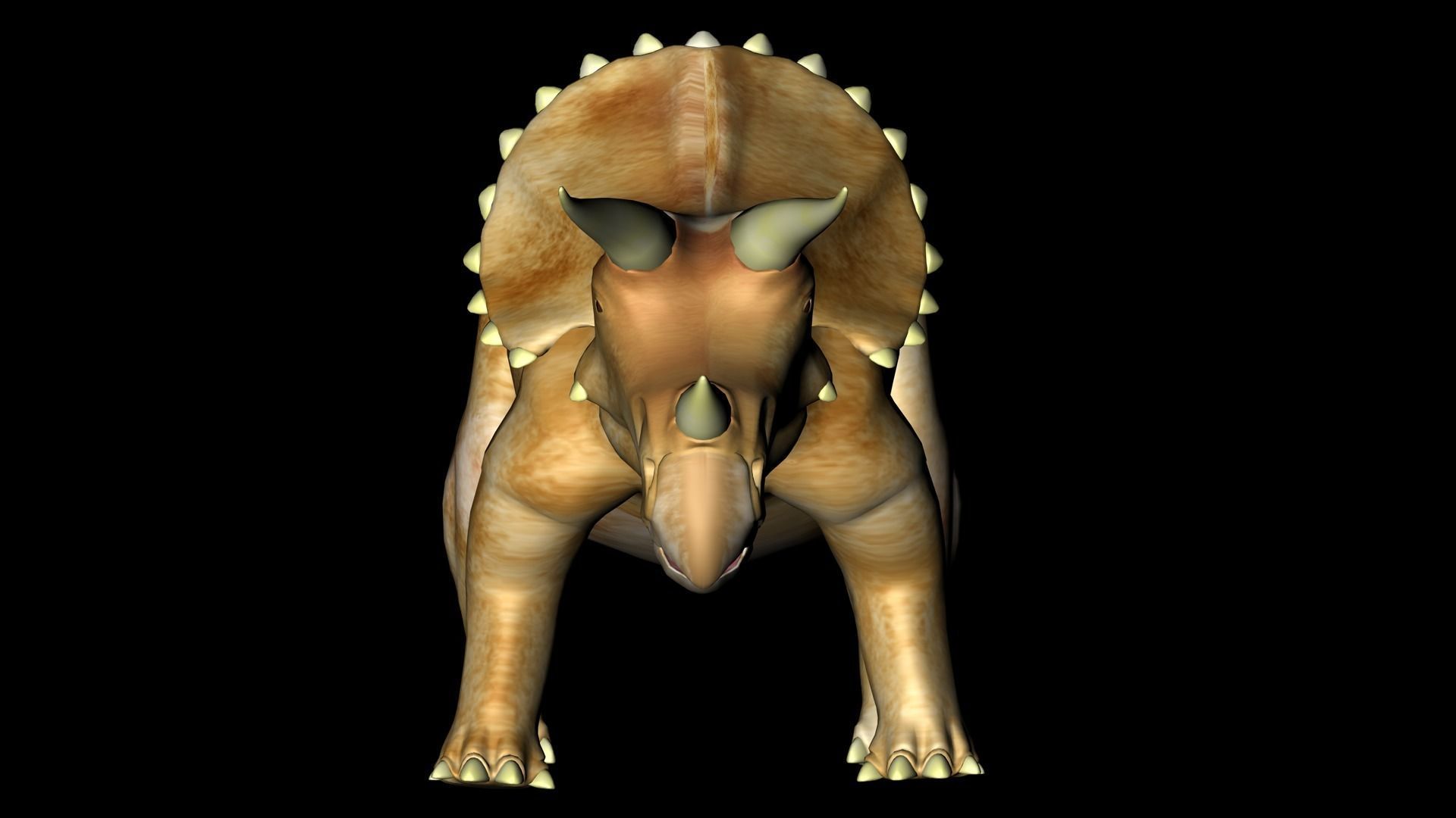 Triceratops dinosaur 3D model_3