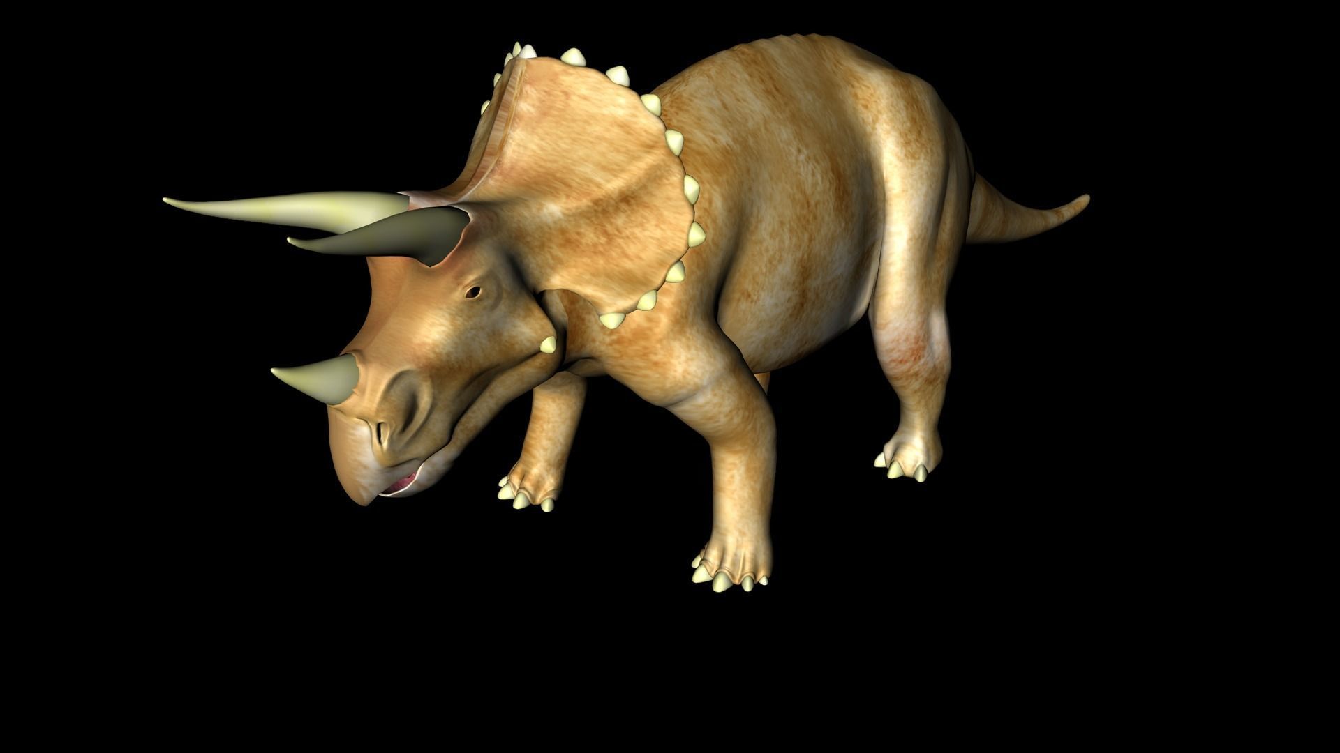 Triceratops dinosaur 3D model_1