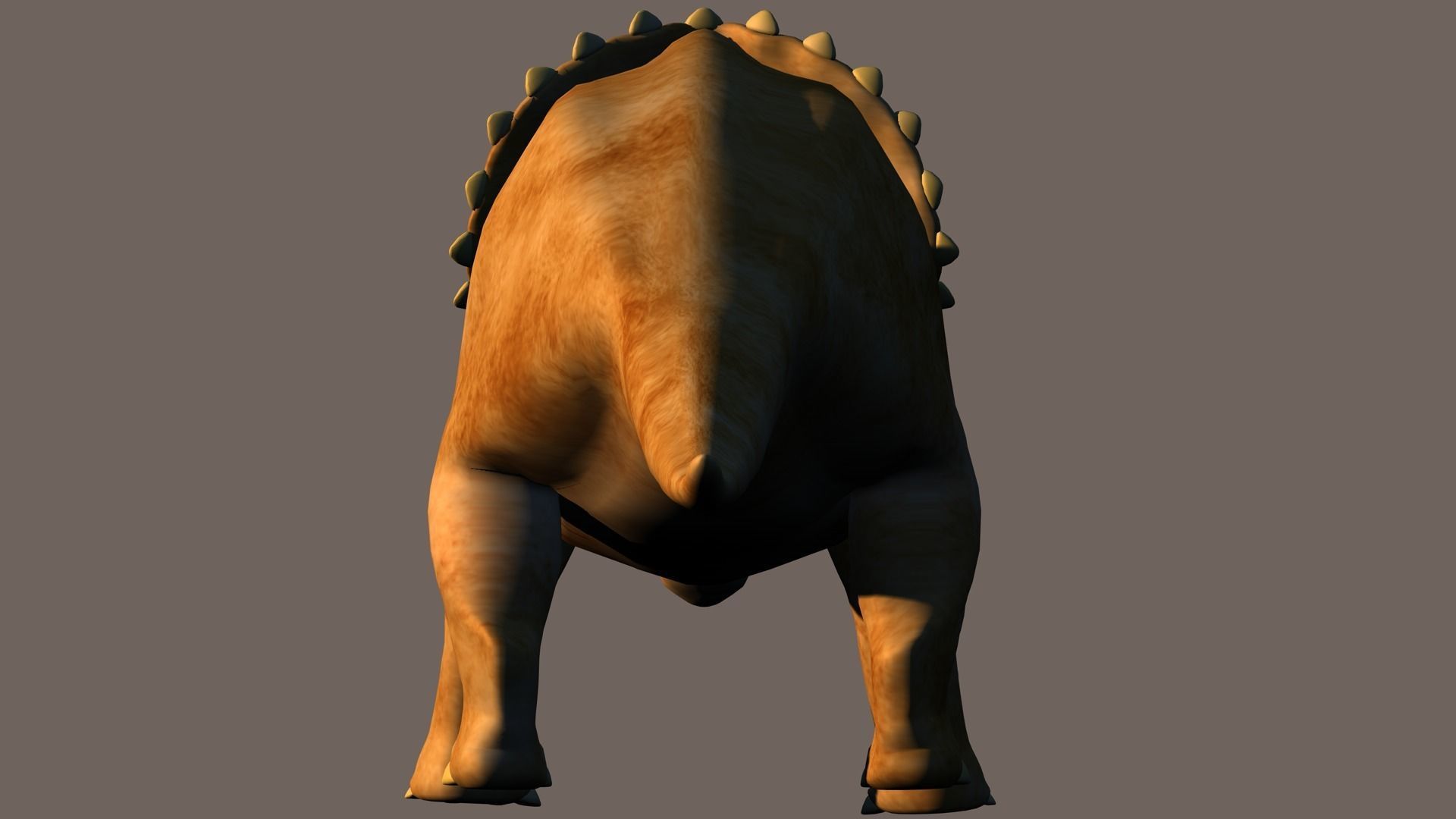 Triceratops dinosaur 3D model_8