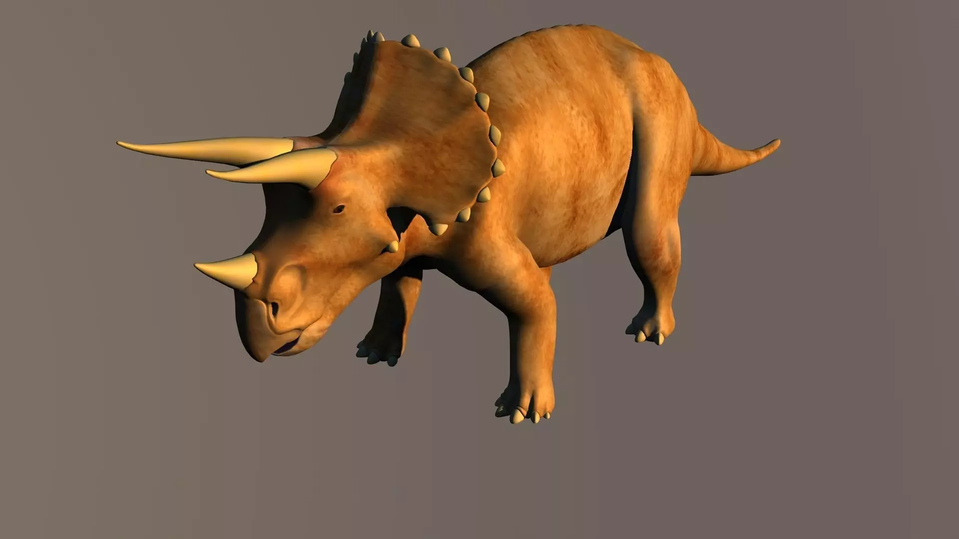 Triceratops dinosaur 3D model_0