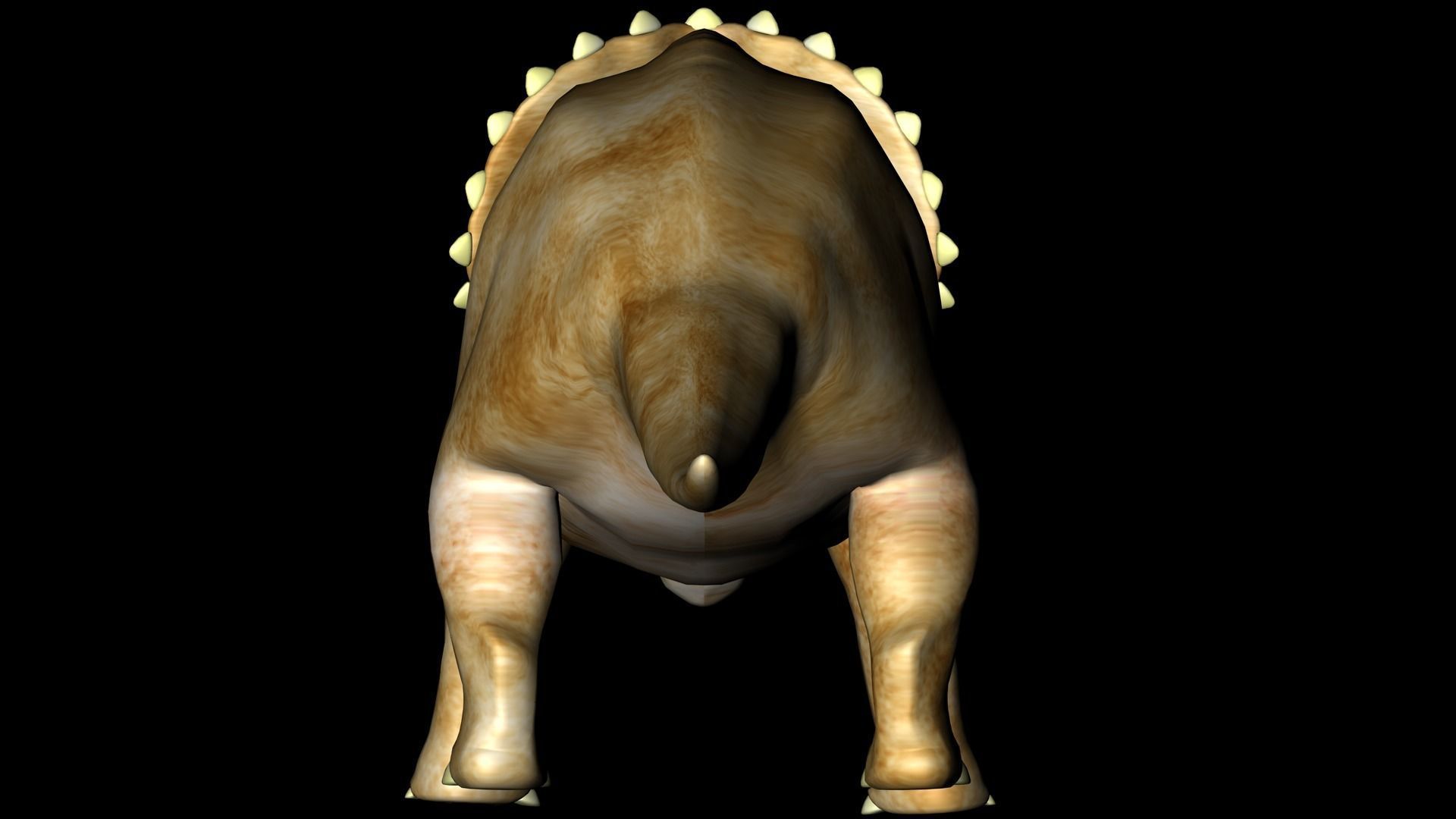 Triceratops dinosaur 3D model_7