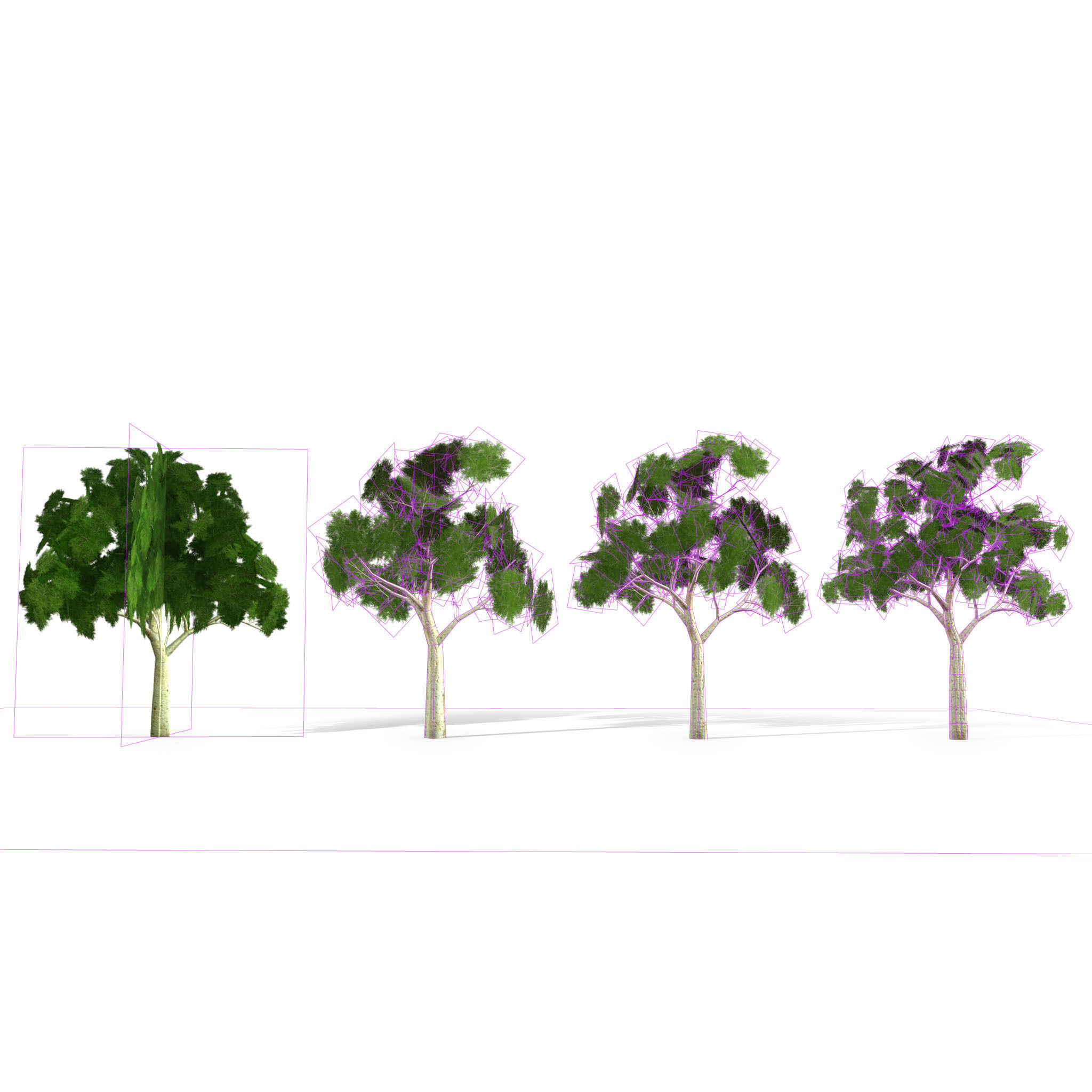 Ghost gum tree Low-poly 3D model_14