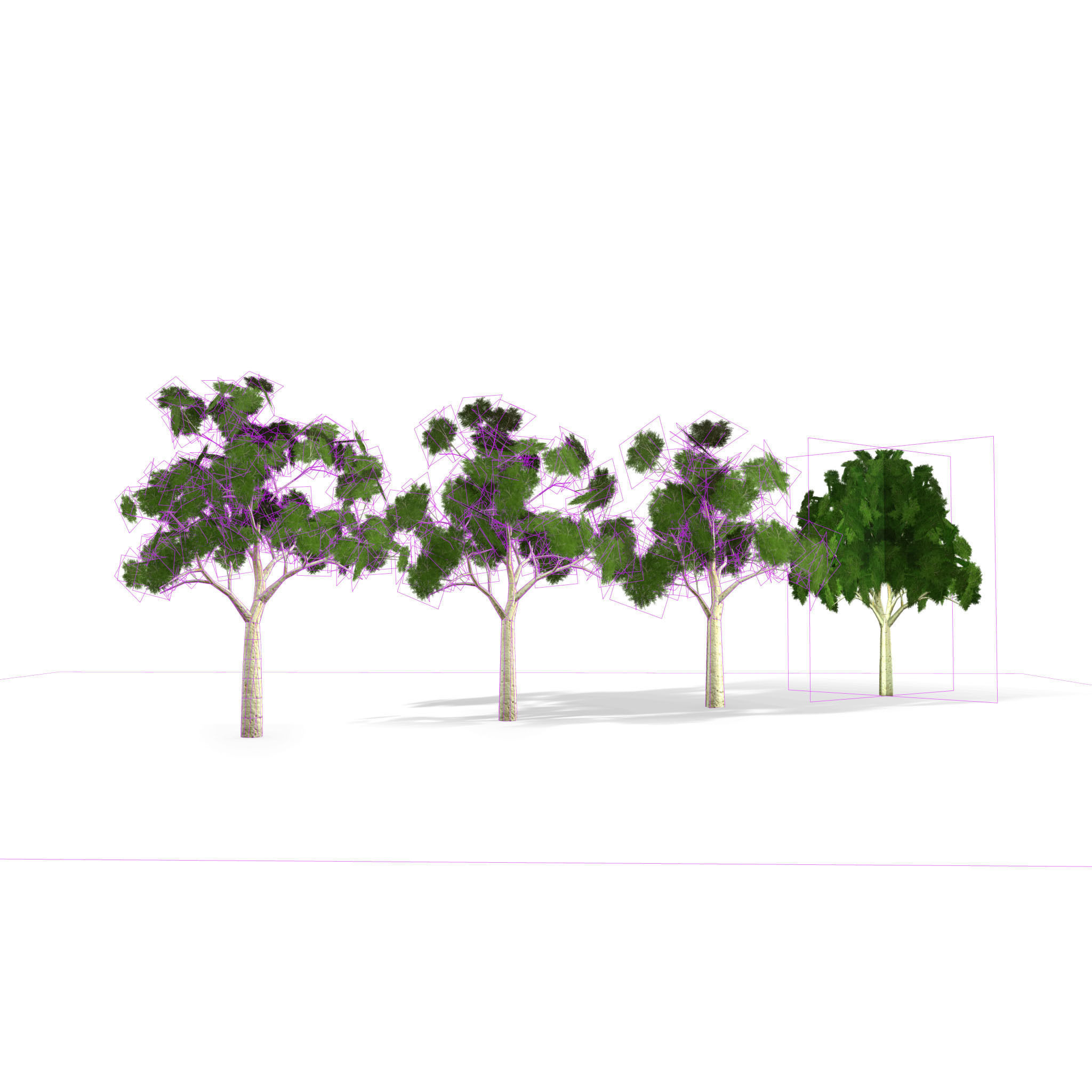 Ghost gum tree Low-poly 3D model_11