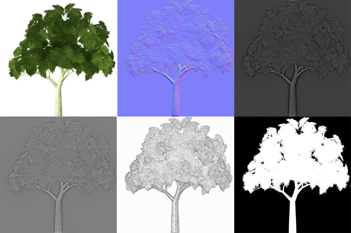 Ghost gum tree Low-poly 3D model_3