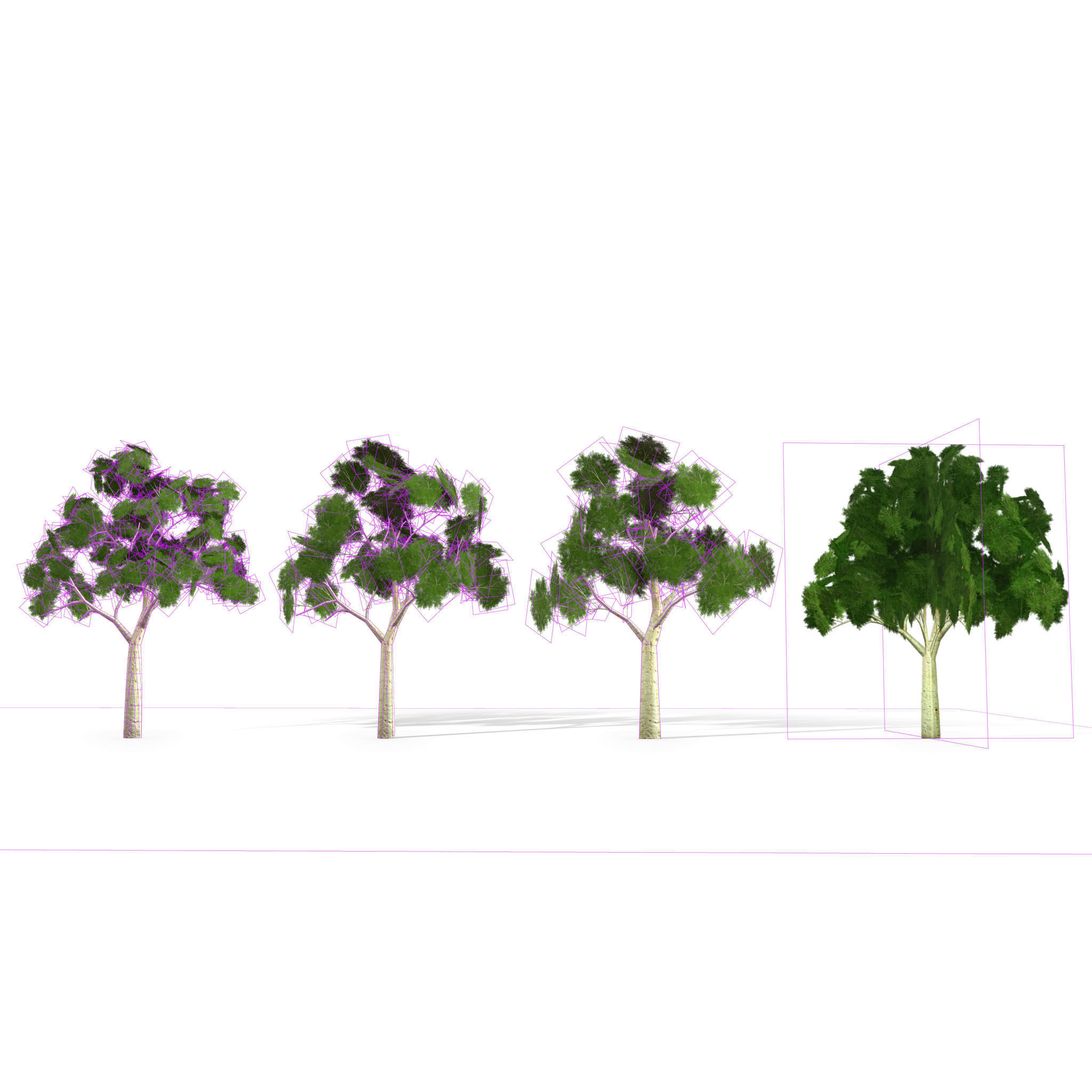 Ghost gum tree Low-poly 3D model_15