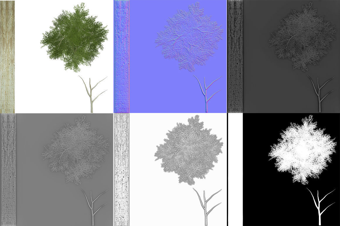 Ghost gum tree Low-poly 3D model_2