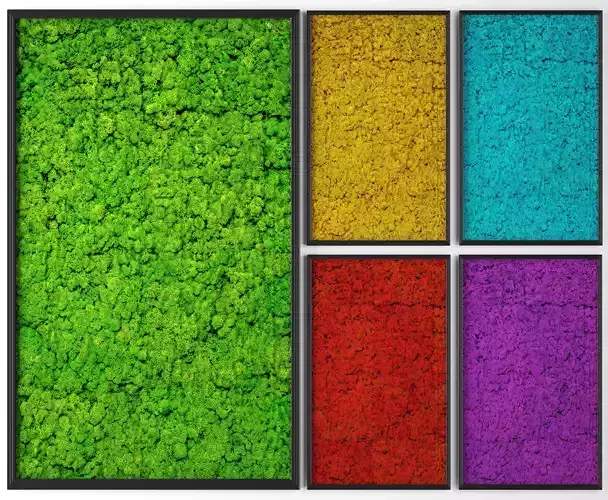 Stabilized moss 3D model