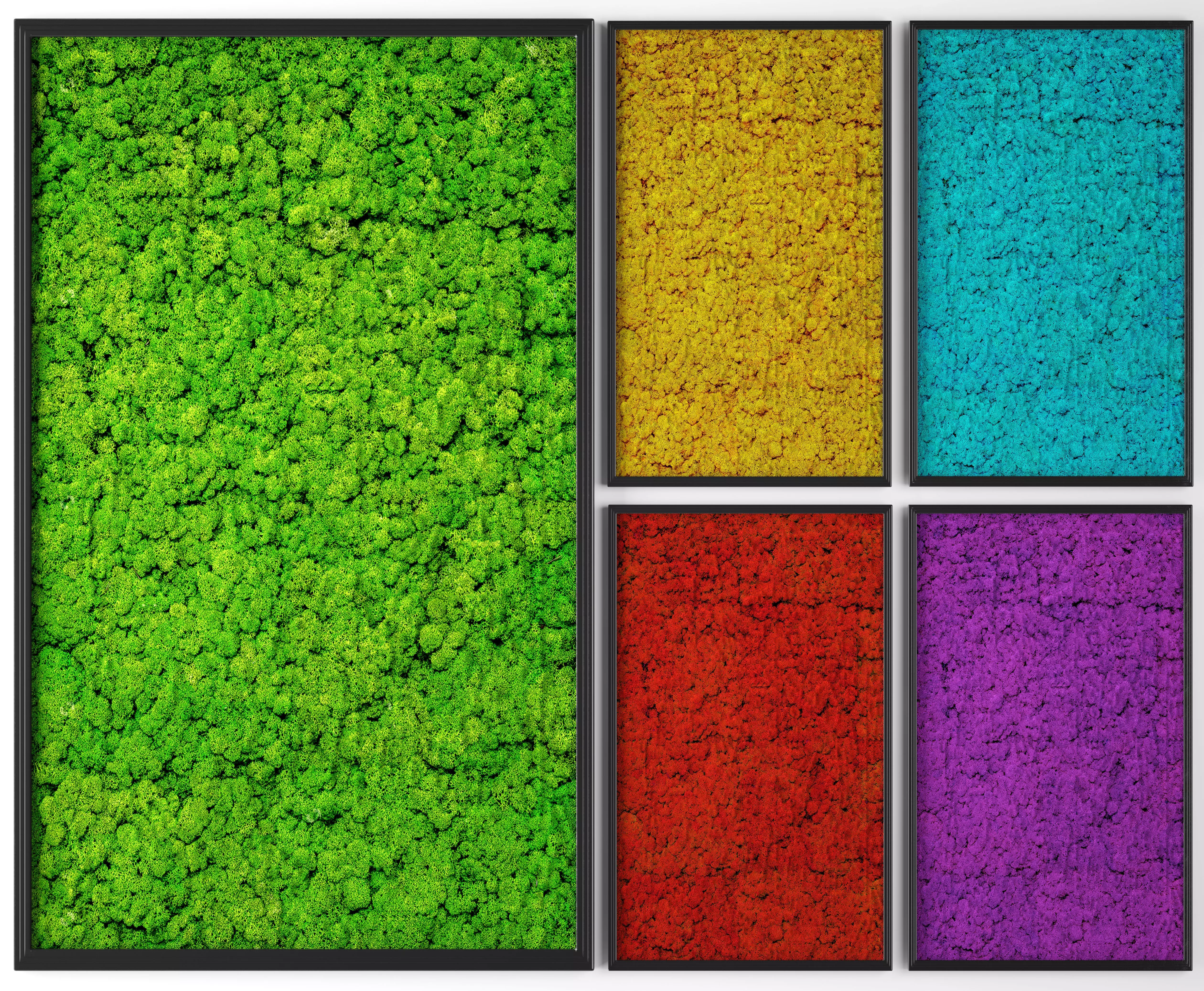 Stabilized moss 3D model_0