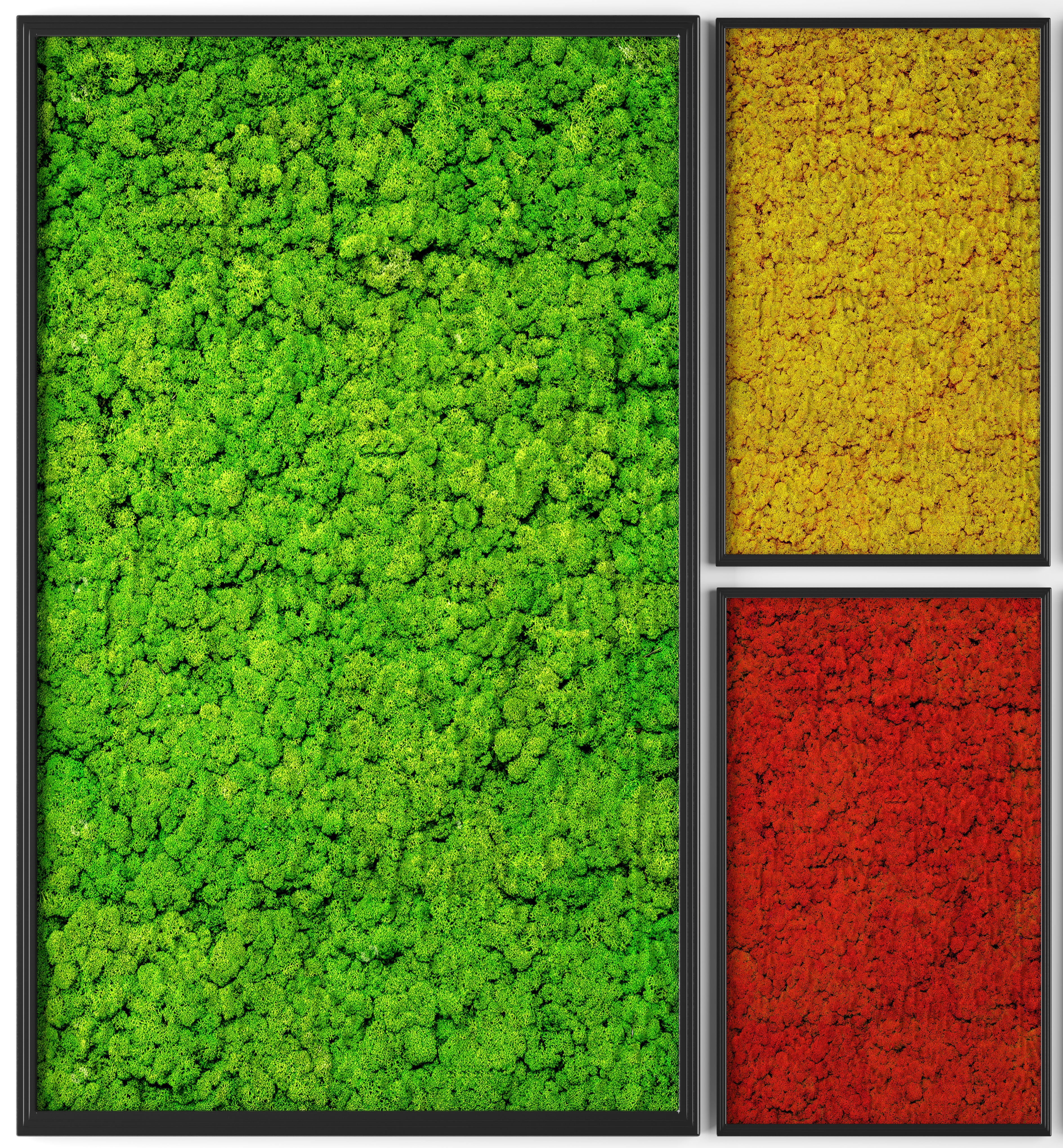 Stabilized moss 3D model_1