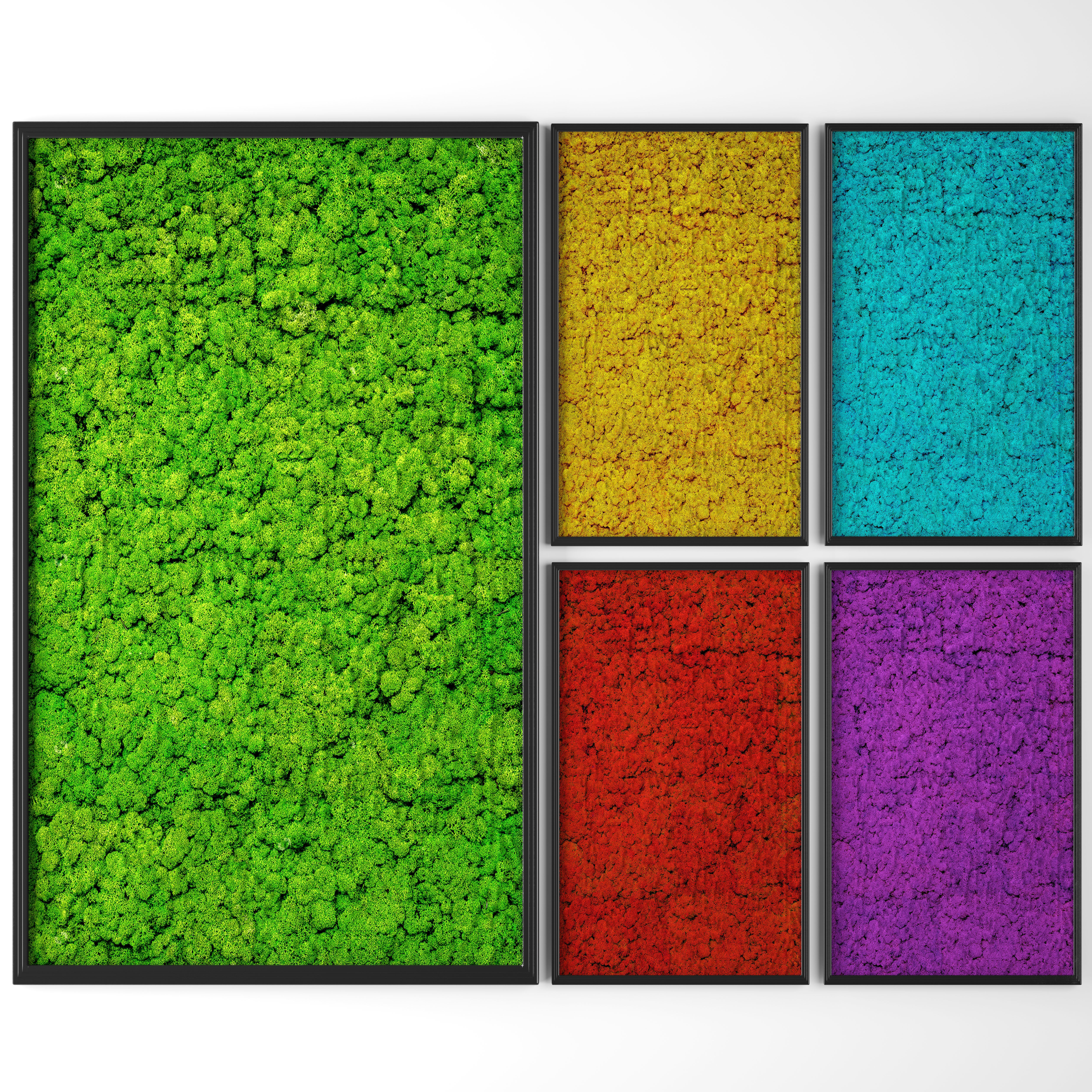 Stabilized moss 3D model_6