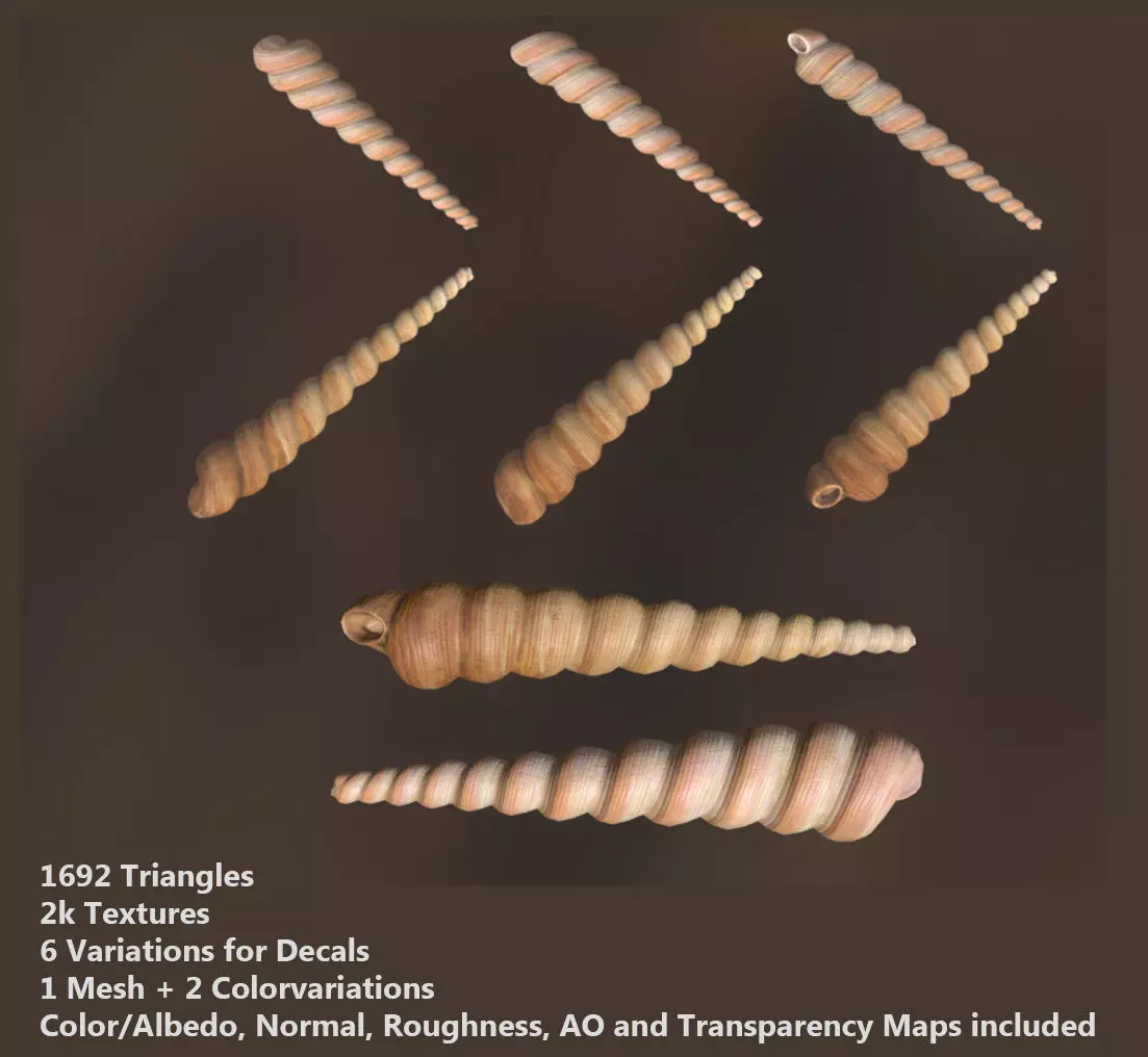 Mussel02 - 1k Triangles-Mesh and Decal Low-poly 3D model