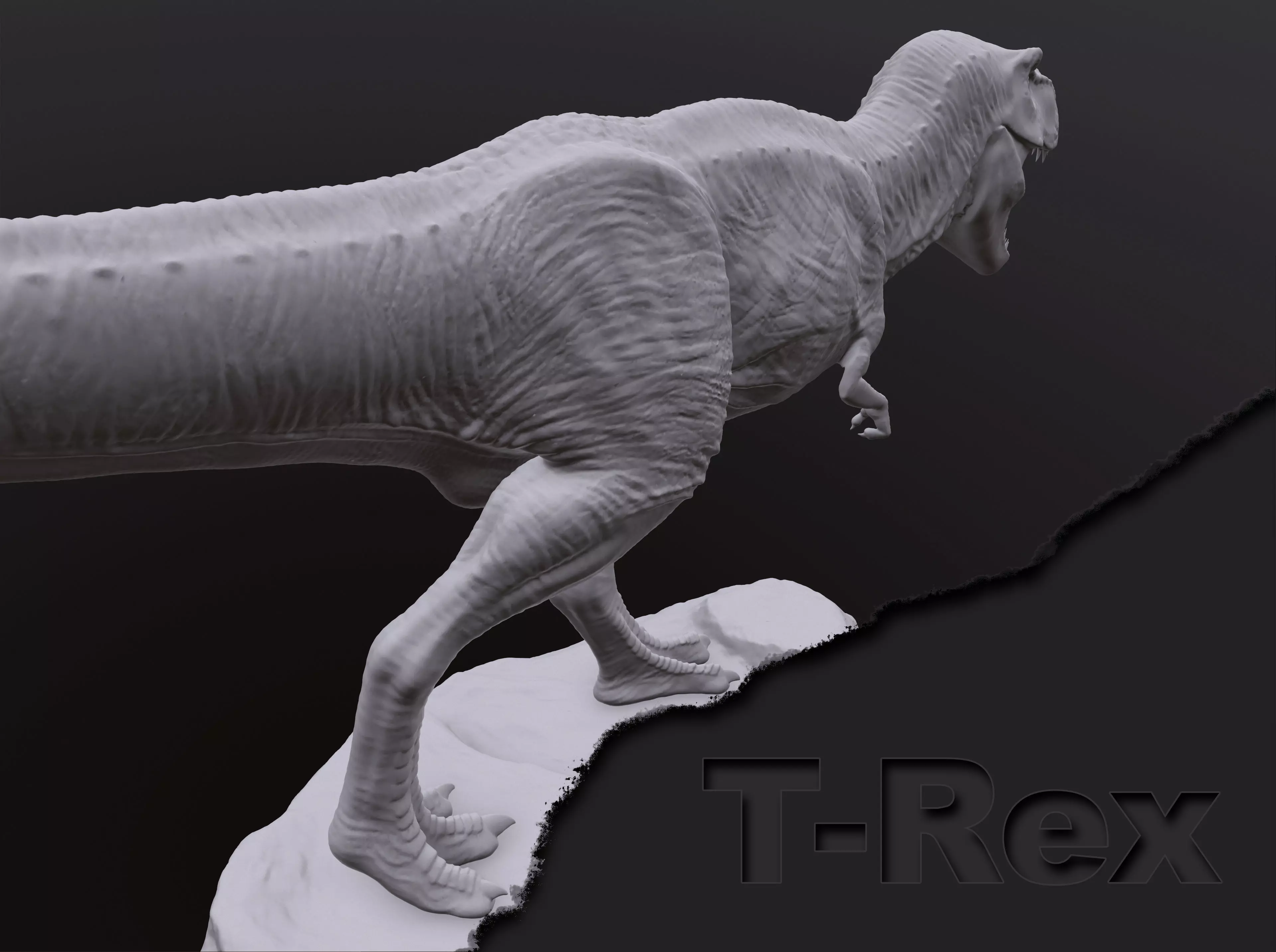 T-Rex 3D print t - rex 3D print model