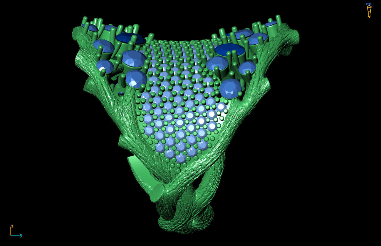 Ring 0162 3D print model_3