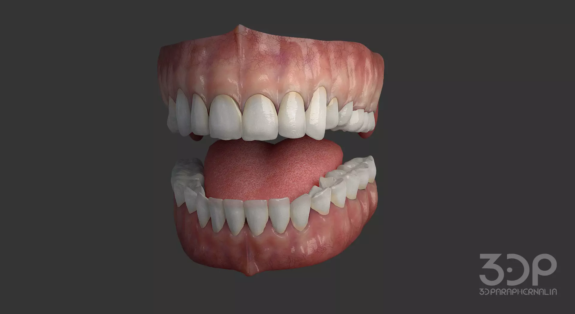 Gums Teeth and Tongue Low-poly 3D model_0