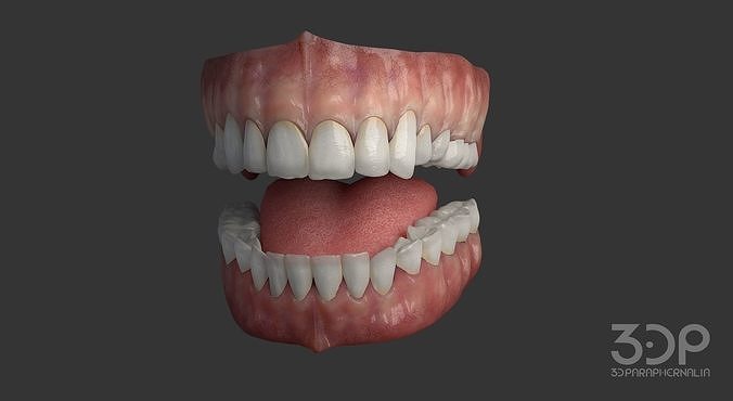 Gums Teeth and Tongue Low-poly 3D model