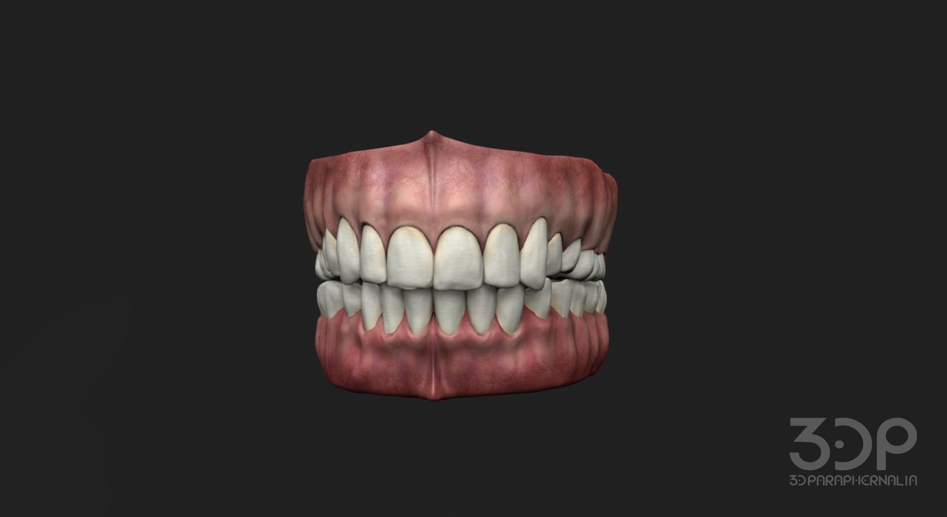 Gums Teeth and Tongue Low-poly 3D model_4