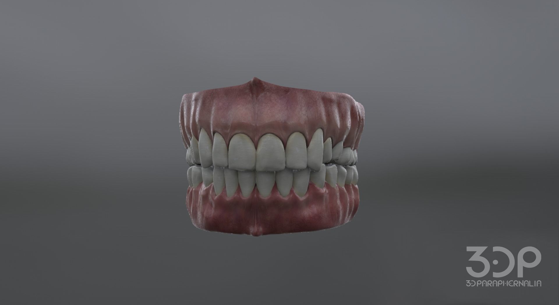Gums Teeth and Tongue Low-poly 3D model_5