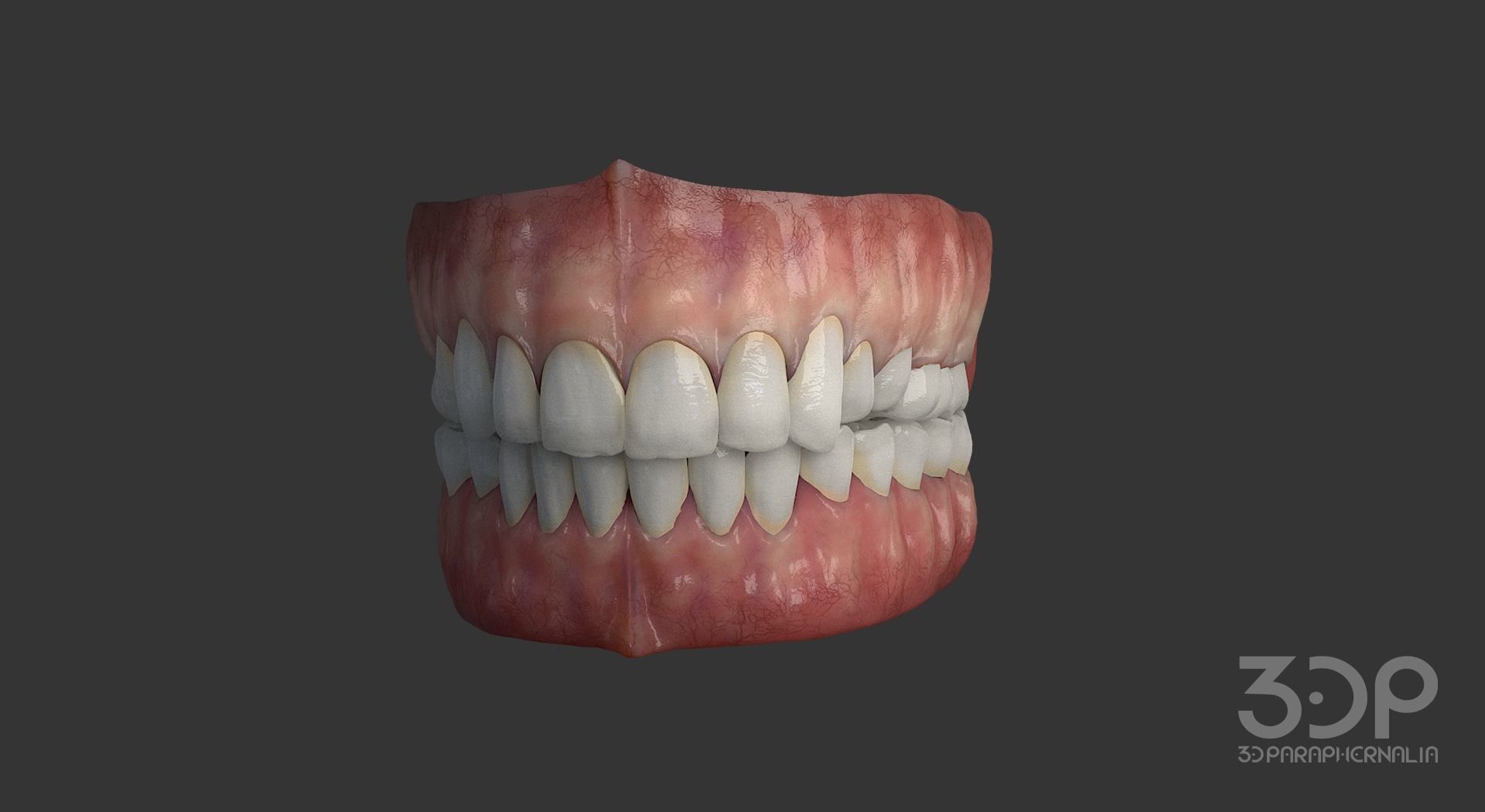 Gums Teeth and Tongue Low-poly 3D model_2