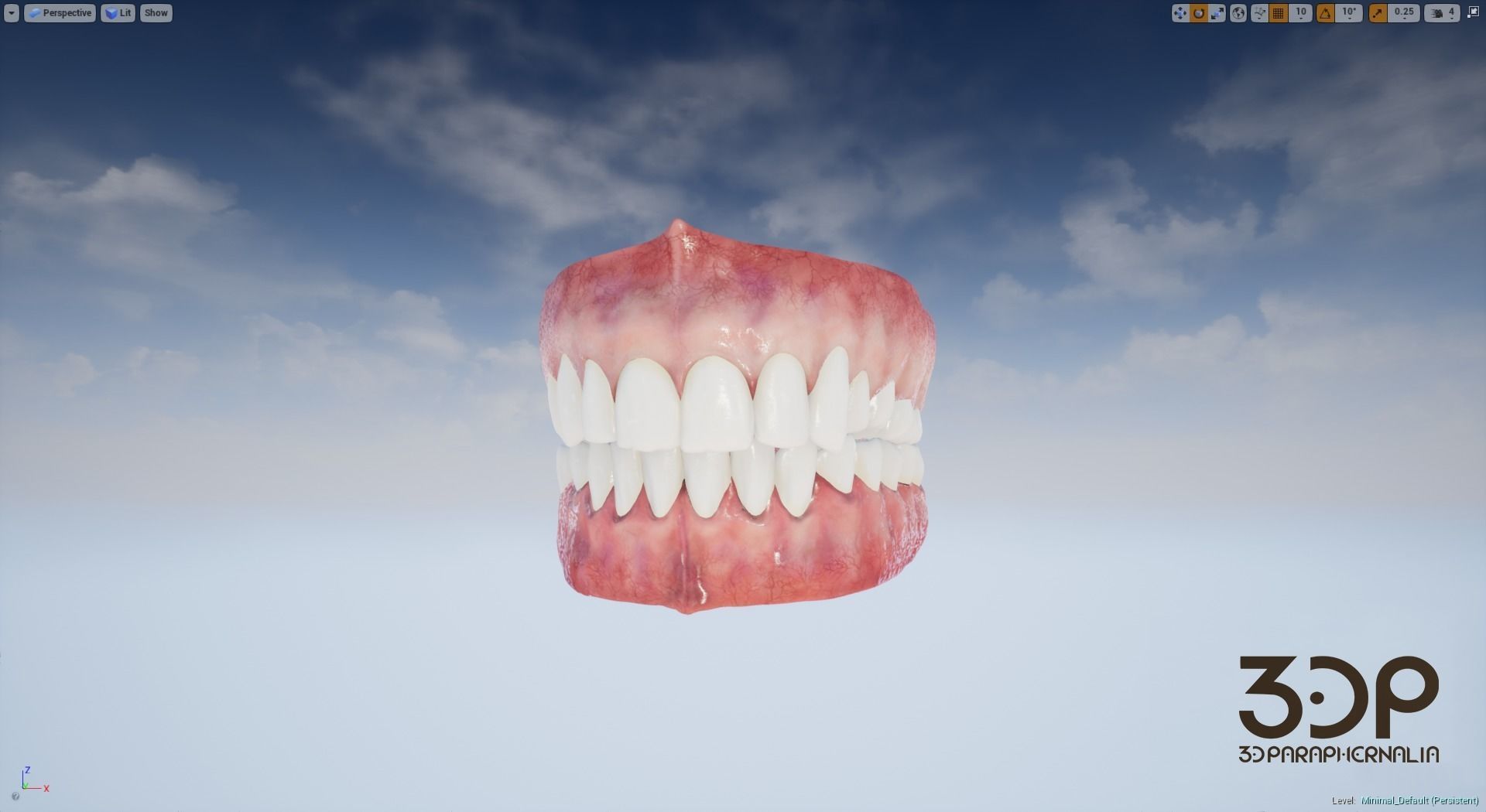 Gums Teeth and Tongue Low-poly 3D model_3