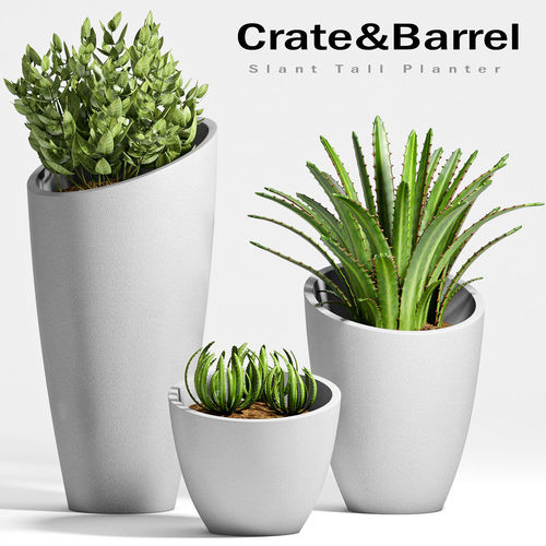  Decorative plant set-20 3D model