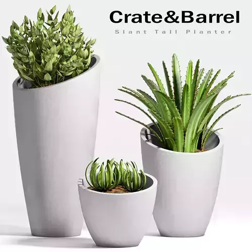  Decorative plant set-20 3D model