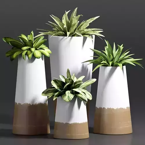 Decorative plant set-22 3D model