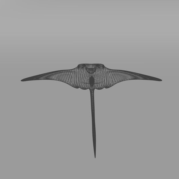 Manta Ray Low-poly 3D model_5