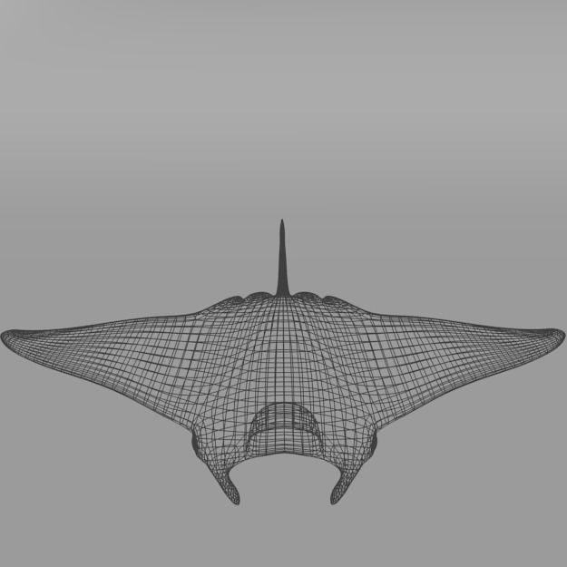Manta Ray Low-poly 3D model_3