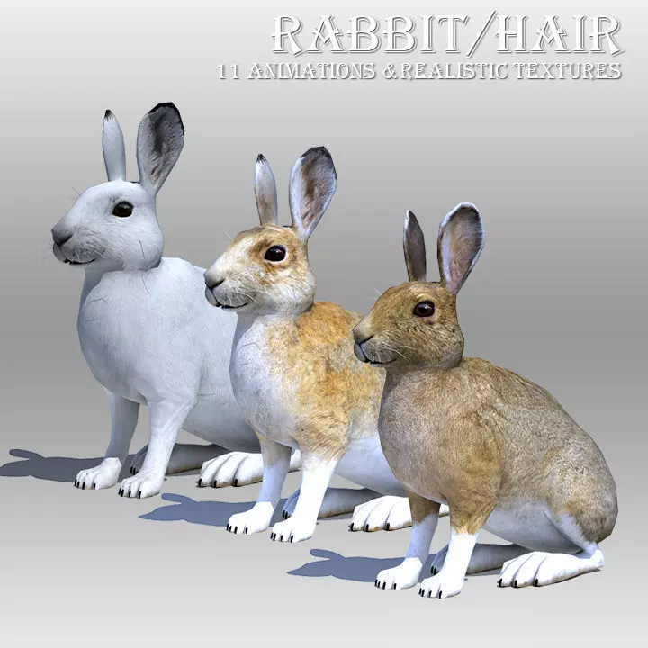 Rabbit or Hair Low-poly 3D model