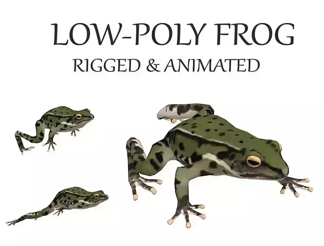 animated frog  Low-poly 3D model