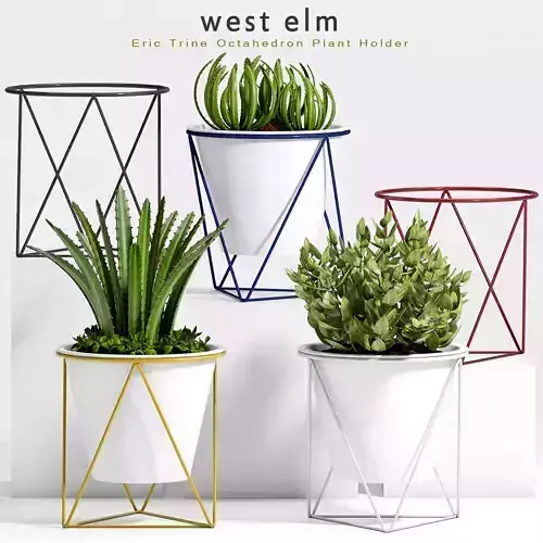 Decorative plant set-23