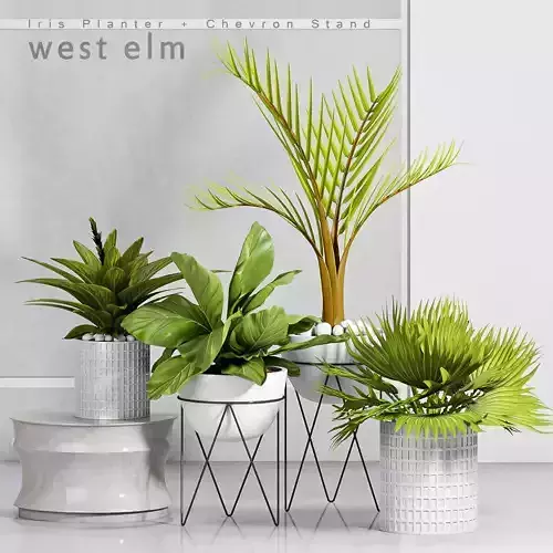 Decorative plant set-24