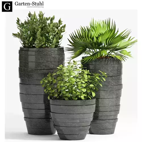 Decorative plant set-25