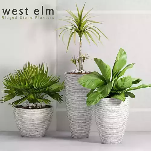 Decorative plant set-28 