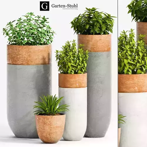 Decorative plant set-29