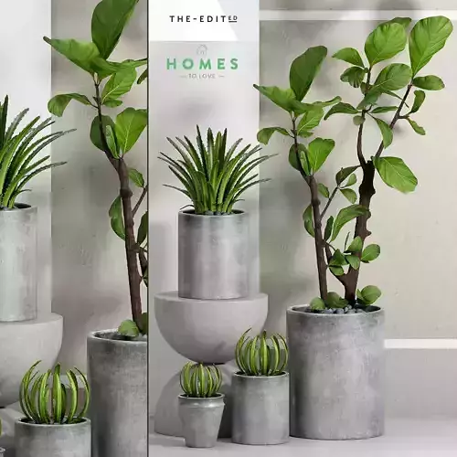 Decorative plant set-30