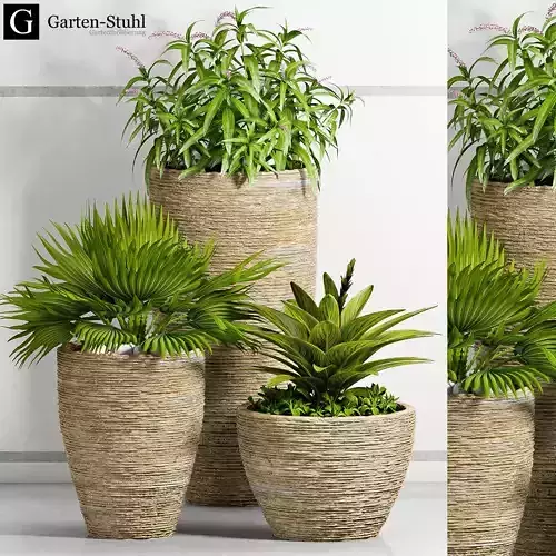 Decorative plant set-31