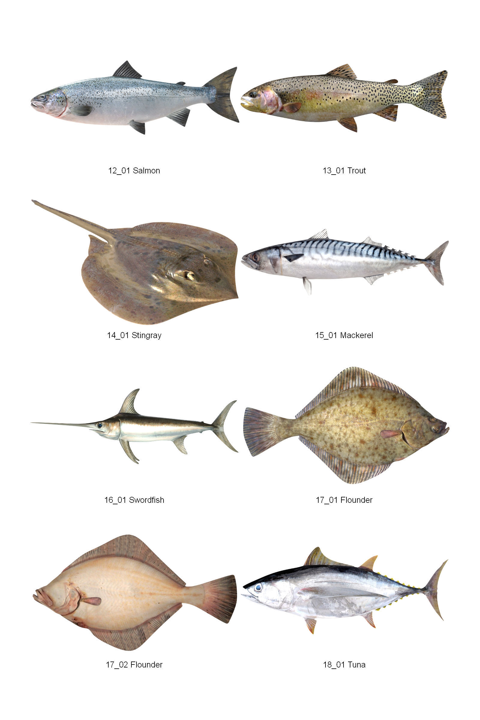 Dosch 3D - Fish 3D model_3