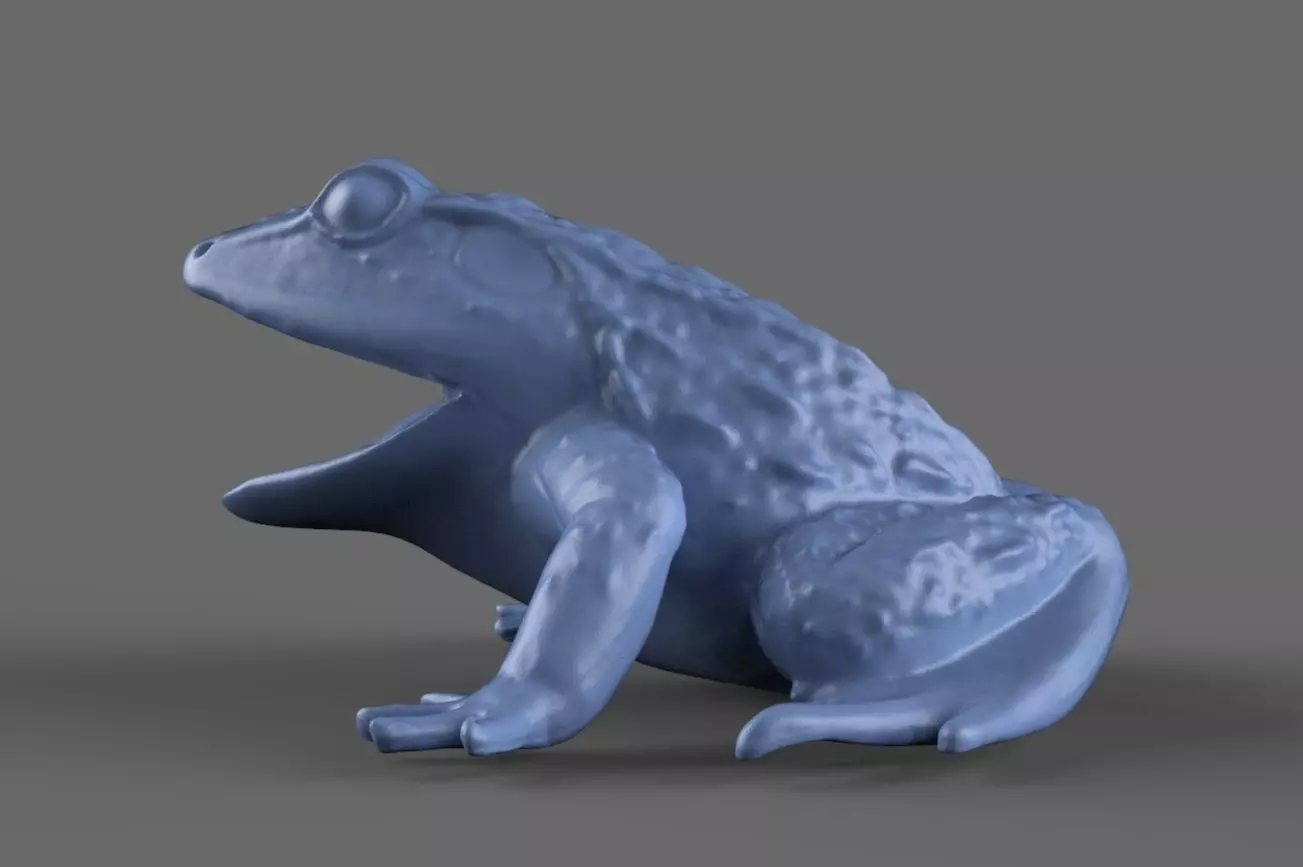 Frog Toy 3D model