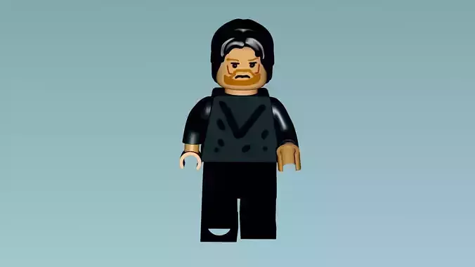 LEGO Character