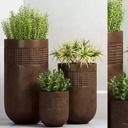 Decorative plant set-32