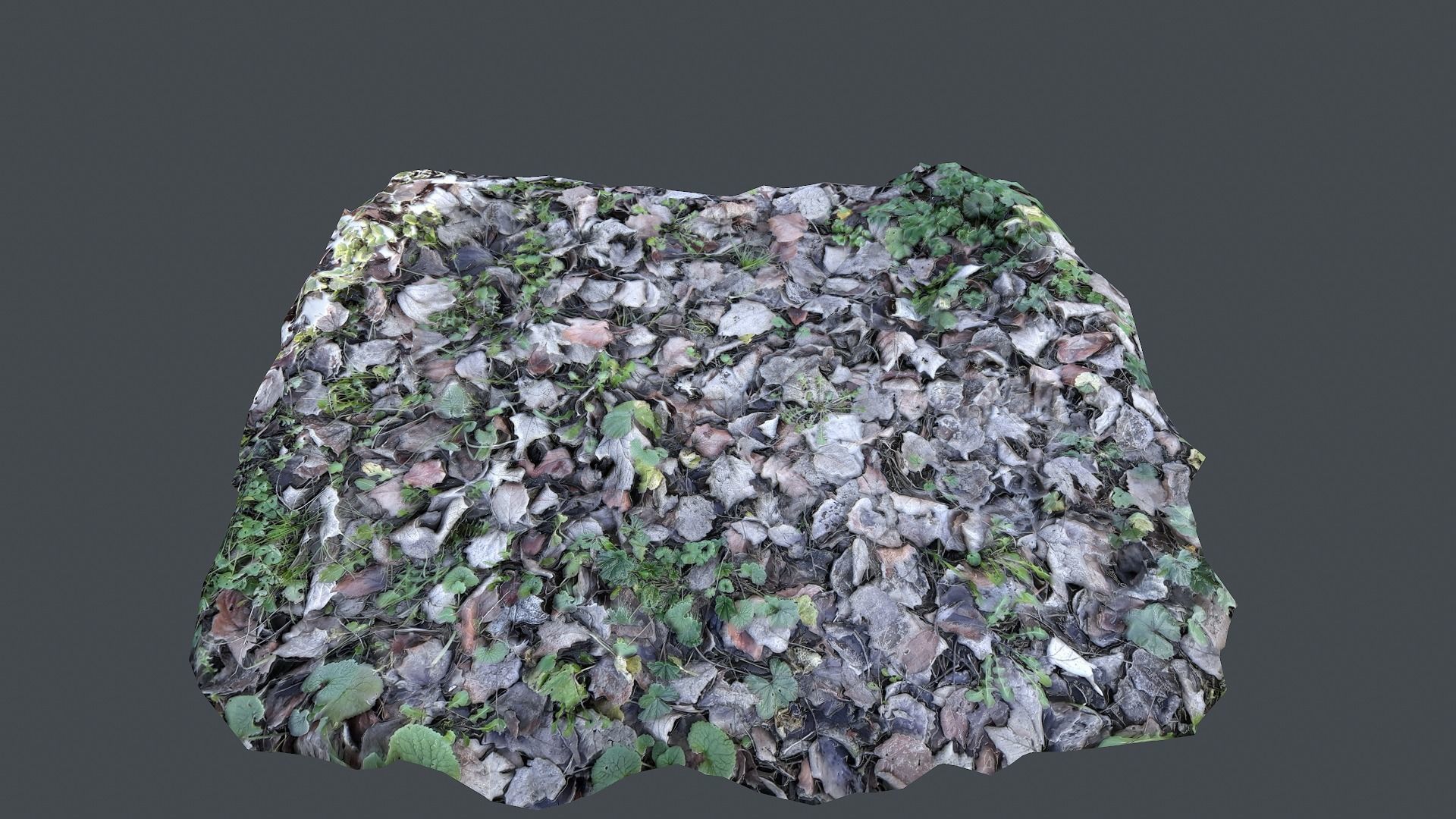 Smart Grounds Photoscanned  Low-poly 3D model_12